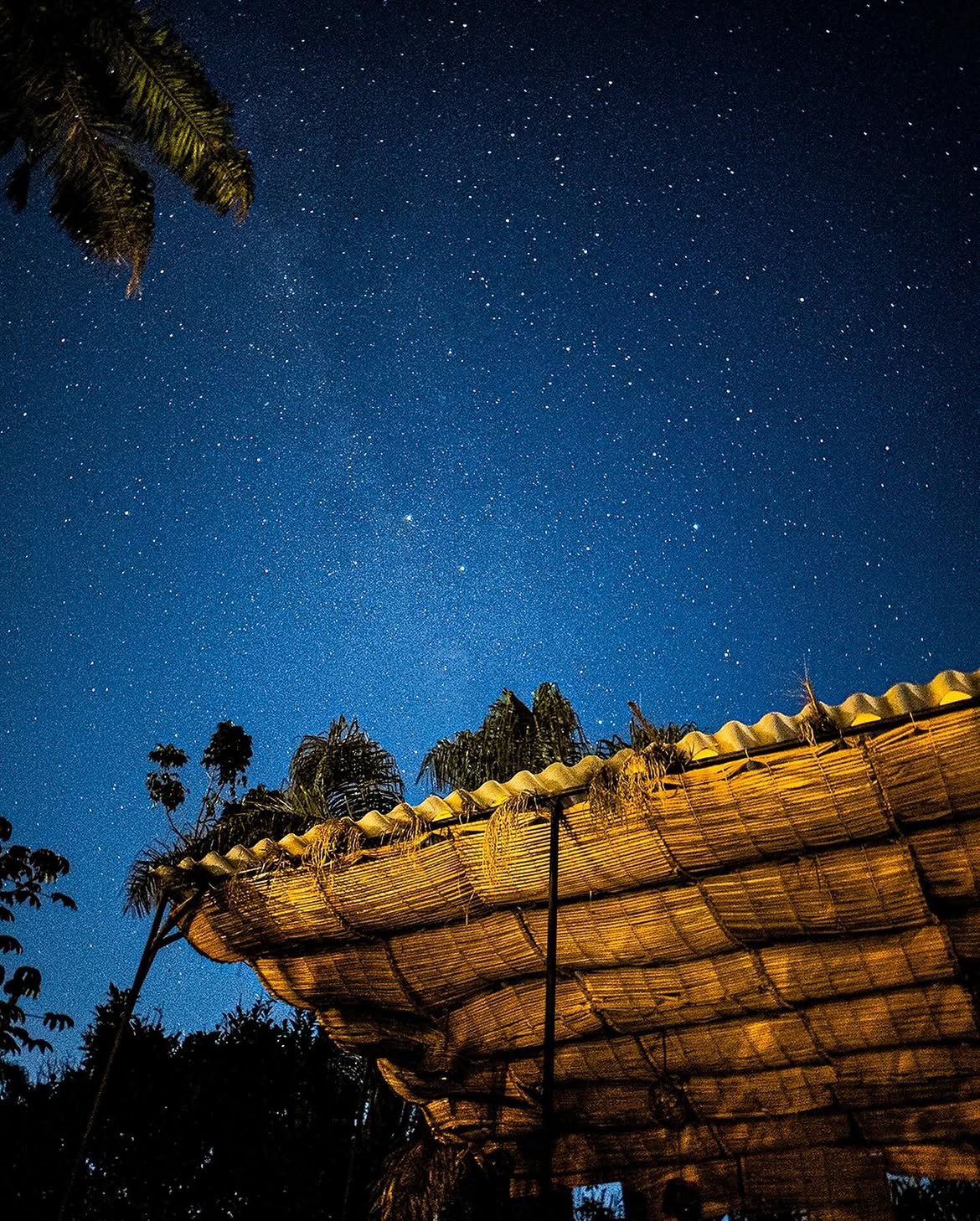 Céu estrelado sobre a cobertura de sapê